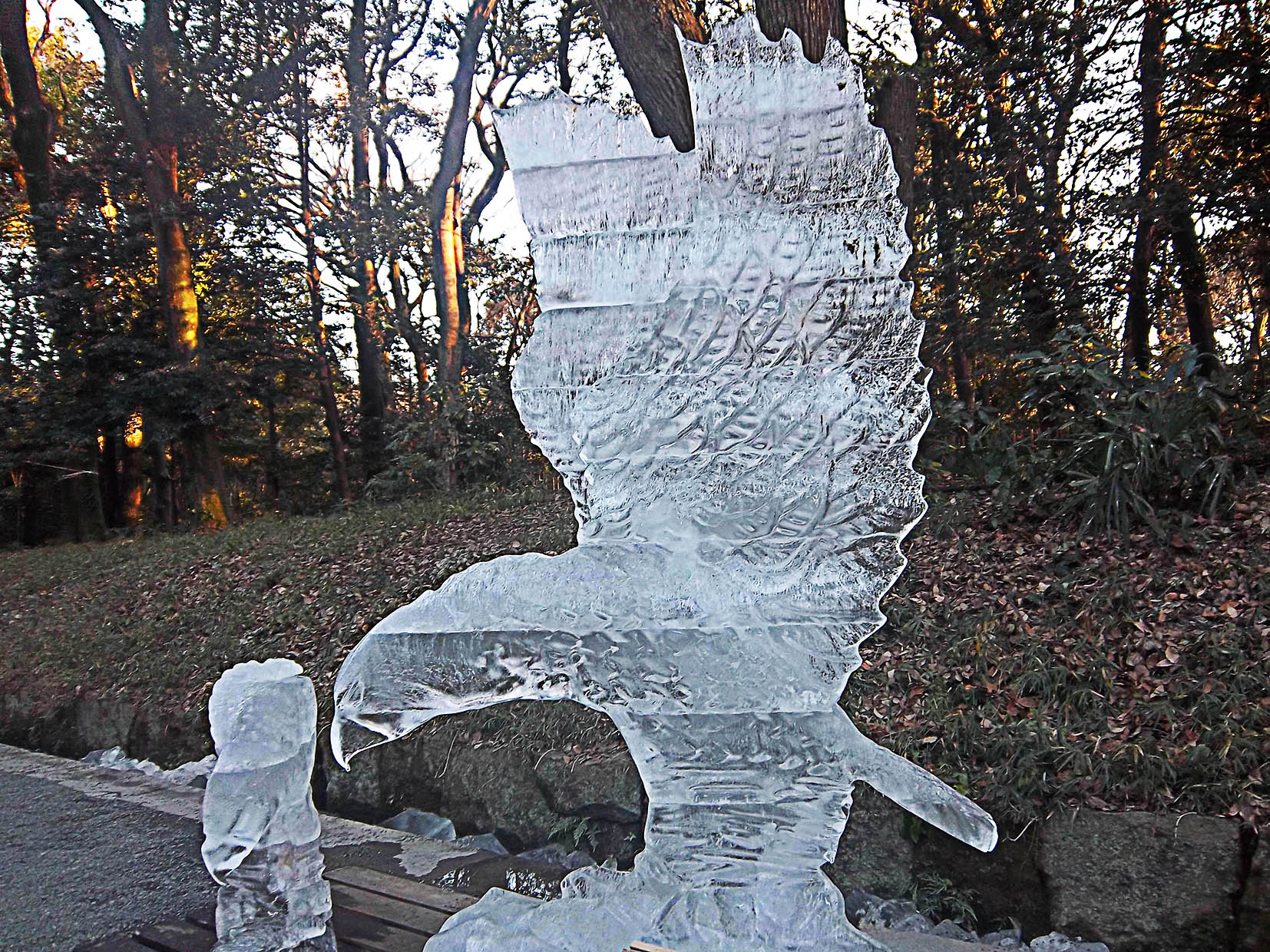 Ice sculpt 10 close sm