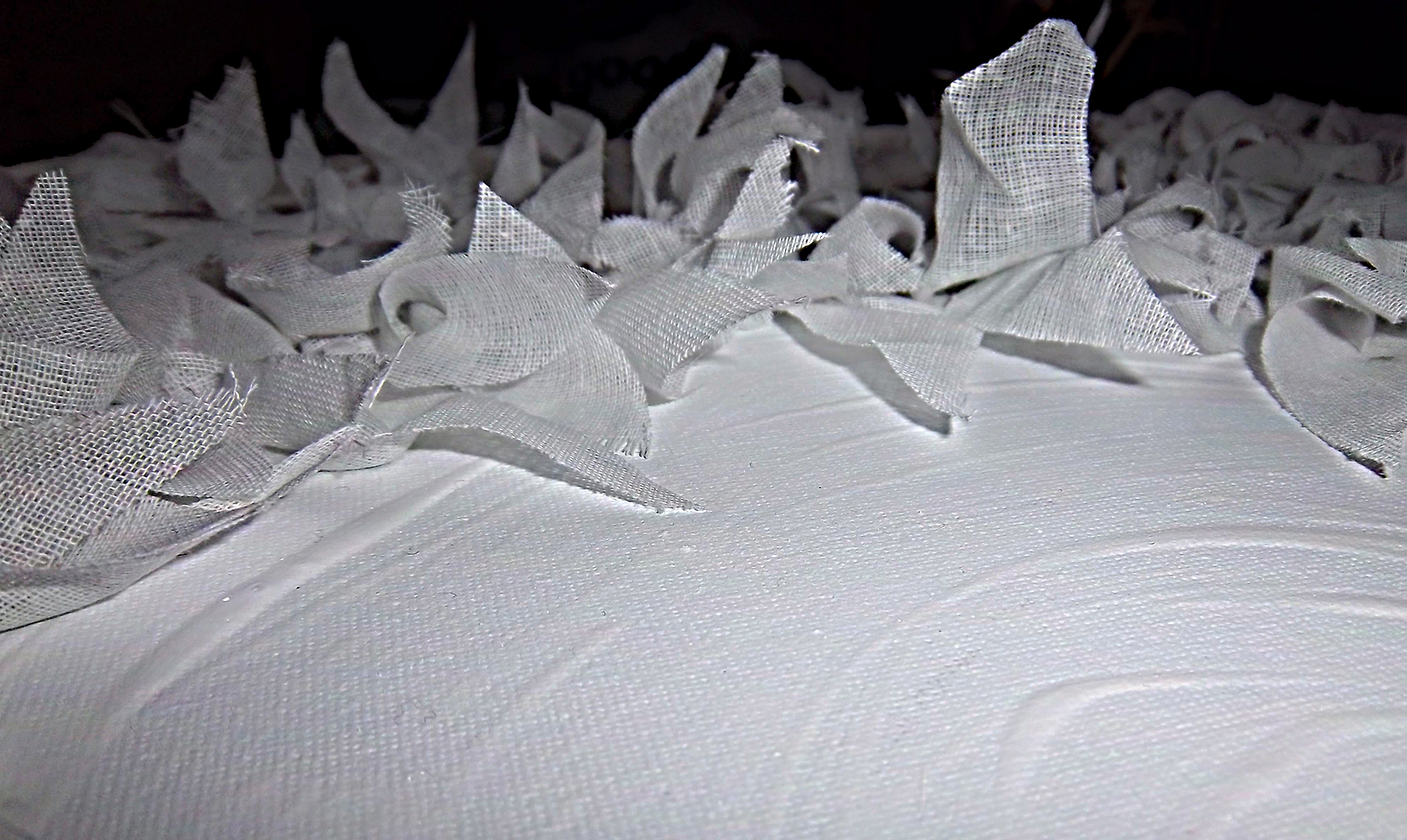 a spread of white muslin covered from the midground to the distance in feathery shipets of the same white fabric. Sharply focused in the forground the image fades to black in the unfocused background.